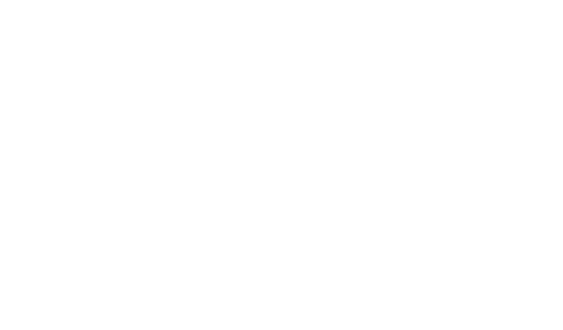 CSS